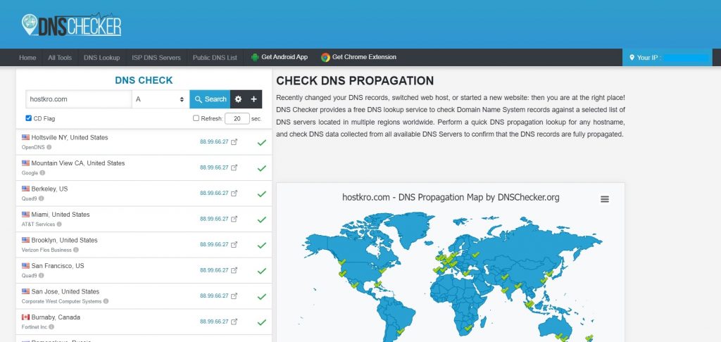 dns-propogation-checker